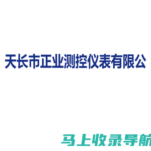 天长市正业测控仪表有限公司